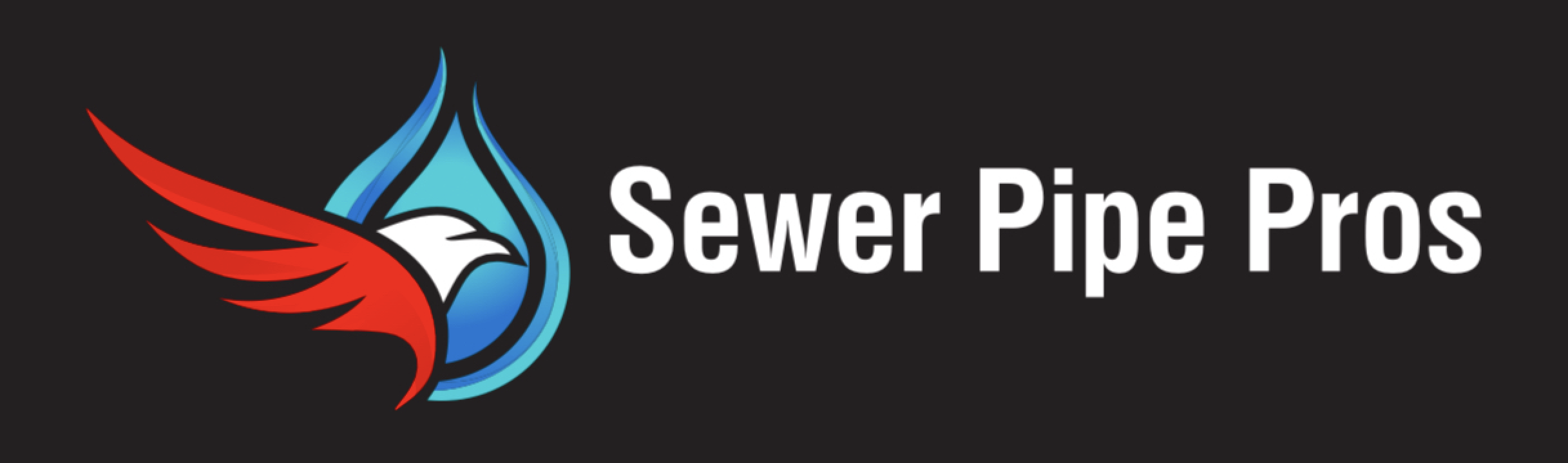 Sewer Pipe Pros